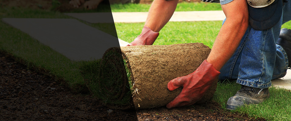 Northbrook Landscapers